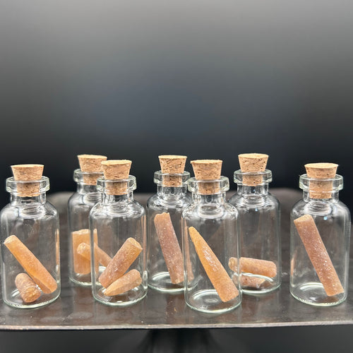 Belemnite Fossils