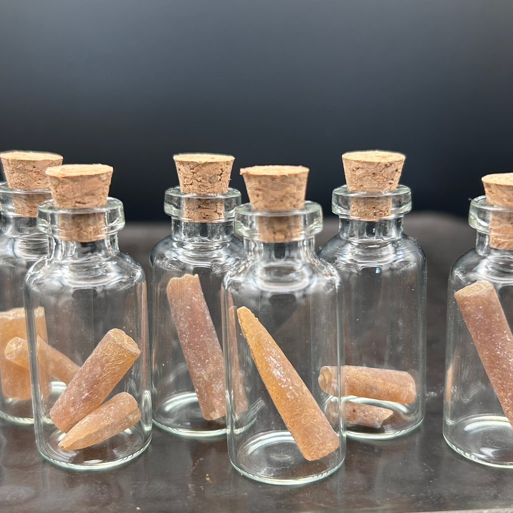 Belemnite Fossils
